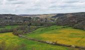 Trail Walking Viroinval - Balade dans le Viroinval - Olloy - Photo 12