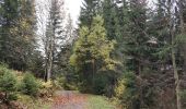 Randonnée Marche Arâches-la-Frasse - Les Carroz, Mont Favy, pierre à Laya, Araches, remontée par les Nantes praz rôti, retour par les grangettes - Photo 1