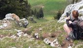 Excursión Senderismo La Roche-sur-Foron - GLIERES / BORNES: LE CHENET - SUR COU - COL DU FREU - ROCHE PARNAL - COL DU CABLE - BALME - Photo 9