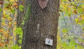 Tocht Stappen Mittelbergheim - les arbres espiègles - Photo 19