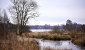 Tour Zu Fuß Weißenstadt - Rundwanderweg Weißenstadt Nr. 1 - Photo 8