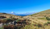 Randonnée Marche Pont de Montvert - Sud Mont Lozère - La Brousse/Sommet de Finiels/ Signal des Laubies - Photo 5