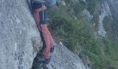 Trail Walking Plan-d'Aups-Sainte-Baume - Marcel estruche - Photo 2