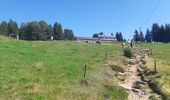 Trail Walking Le Valtin - Lac Vert - Lac du Forlet - Gazon du Faing - Photo 19