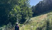 Trail Walking Saint Vith - Lommersweiler version longue 2023 - Photo 3