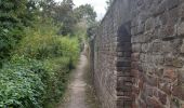 Trail Walking Borgloon - randonnee de l eglise fantôme  (doorkijkkerkje) - Photo 11
