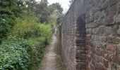 Tour Wandern Borgloon - randonnee de l eglise fantôme  (doorkijkkerkje) - Photo 11