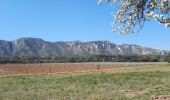 Excursión Senderismo Saint-Rémy-de-Provence - CR_Domitia_BB_24_St-Remy-Provence_Orgon_20220405 - Photo 6