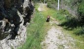 Trail Walking Saint-Fortunat-sur-Eyrieux - 07 st fortunat dubieres st Vincent dufort - Photo 9