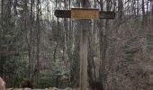 Tour Wandern Fillière - les ollieres - Photo 2