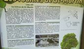 Excursión Senderismo Houffalize - Houffalize 240625 - Photo 19