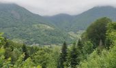 Trail Walking Cauterets - Hostellerie de la reine Hortense et retour par Cancura - Photo 3