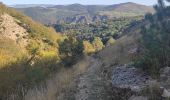 Tour Wandern Florac Trois Rivières - Les Cévennes sentiers sympas  - Photo 4