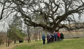 Tour Wandern Mane - MANE Saint Michel Observatoire  o - Photo 10