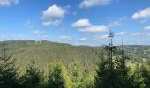 Trail Walking Waimes - Ondenval  - Photo 6