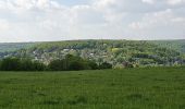 Tocht Stappen Esneux - Autour d'Avionpuits - Photo 6