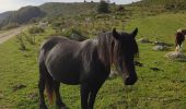 Randonnée Marche Larnat - Cap de la Lesse - Photo 4