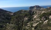 Trail Walking Marseille - Sommet de Marseilleveyre à partir des Goudes - Photo 10
