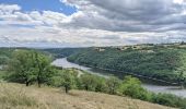 Tour Wandern Saint-Priest-la-Roche - boucle château la roche-9.7 km - Photo 10