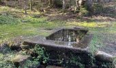 Tour Wandern Gerdsee - Roches de Bruyères et du Page, Gorges du Roitelet - Photo 5