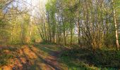 Randonnée Marche Vieux-Moulin - en forêt de Compiègne_26_la Grotte des Ramoneurs_Tournantes de la Queue de Saint-Etienne et sur la Côte de Roilaye - Photo 16