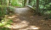 Trail Walking Bonnelles - Rumba  de Villevers->Bommelle - Photo 3