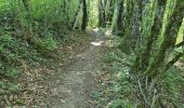 Trail Walking Chevrier - Défilé de l'écluse  - Photo 3