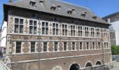 Randonnée Marche Profondeville - RL-GG-19 - Lustin - Namur - 2025-02-11 - Photo 2