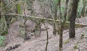 Trail Walking Belgentier - Belgentier antennes escavalins - Photo 12