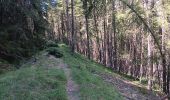 Tour Wandern Crévoux - mon.parcours des fées : cascade de razis via le torrent / retour via le canal du meal - Photo 16