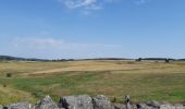 Randonnée Marche Chanaleilles - AUTOUR DU DOMAINE DU SAUVAGE - Photo 13