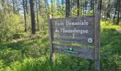 Trail Nordic walking Lauroux - SityTrail - Labeil Forêt de l'Escandorgue Juin 2021 - Photo 5