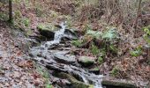 Tour Wandern La Roche-en-Ardenne - Balade des panoramas à La Roche-en-Ardenne  - Photo 12