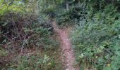 Trail Walking Marsanne - 26 marsanne - Photo 4