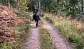 Trail Horseback riding Raon-l'Étape - Yoigo kalio la chipotte étang de saint-rémy - Photo 1