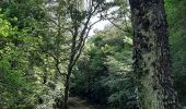 Tour Wandern Plan-d'Aups-Sainte-Baume - Hostellerie de la Ste Baume / Pas de L'AÏ / Le paradis / Col de St Pilon  16 juin 2022 - Photo 3