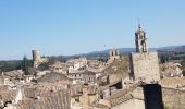 Excursión Senderismo Vaugines - Vaugines-Hermitage-Cucuron - Photo 2