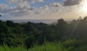 Excursión Senderismo Le Lorrain - Boucle Vallon - Morne-Bois - Seguineau - Photo 19