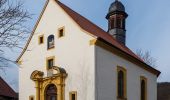 Tour Zu Fuß Oberschwarzach - Rundweg Stollburg - Photo 1