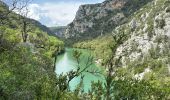 Tour Wandern Quinson - Quinson Verdon 13 km - Photo 3