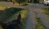 Tocht Paardrijden Fronton - Trec 2 finalisé - Photo 8