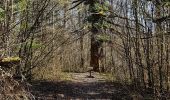 Randonnée Marche Val d'Oingt - le bois de la Flachère - Photo 5