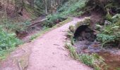 Tour Wandern Gerdsee - Gérardmer  - Photo 6