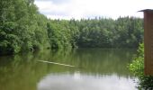 Tocht Te voet Rheinböllen - Natur-Erlebnisweg Schinderhannes - Photo 7