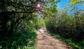 Trail Walking Mons - Balade à Hyon - Mons - Photo 11