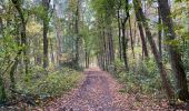 Tocht Stappen Maasmechelen - Opgrimbie 18 km - Photo 1