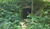 Trail Walking Ciney - Conjoux 300724 - Photo 3