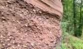 Excursión Senderismo Saverne - Grotte St Vit & Rappenfels - Photo 20