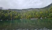 Randonnée Marche Passy - J27 - R25 - 🍂🍁 Plaine-Joux - Les Ayères  - Lac Vert 🍁🍂
 - Photo 19