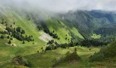 Randonnée Marche Ferrère - montagne d'Areng depuis la piste forestière après Férrères - Photo 7